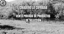 Criadero La Cofradía anuncia venta privada de productos de selección