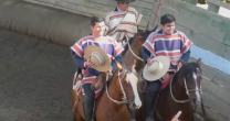 Criadero El Pegual Nuevo completó la tercera collera de la temporada Criadero El Pegual Nuevo completó la tercera collera de la temporada