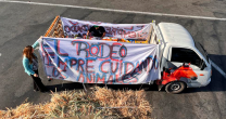La entrega de ayuda de Ferochi para los animales afectados por incendio en Viña del Mar