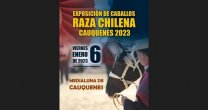 Expo Cauquenes contará con bastantes criadores locales y algunas visitas Expo Cauquenes contará con bastantes criadores locales y algunas visitas