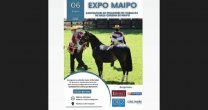 Criadores de Maipo se alistan para su Exposición en la Medialuna de Hospital Criadores de Maipo se alistan para su Exposición en la Medialuna de Hospital