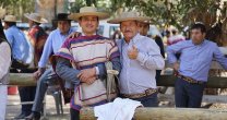 Un grato ambiente se vivió en la Medialuna de Hospital con la Expo Maipo Un grato ambiente se vivió en la Medialuna de Hospital con la Expo Maipo