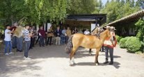 Así se vivió el lanzamiento de la Expo Nacional 2023 en la Viña Laura Hartwig