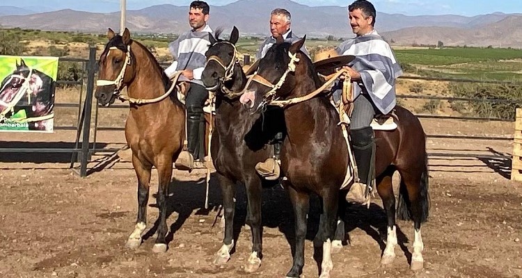 Criadero Alhambra fue el brillante ganador de la Aparta de Ganado en la Hacienda Las Peñas