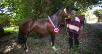 Gitano y Siempre Sí dejaron su sello en la Expo Limarí-Coquimbo Gitano y Siempre Sí dejaron su sello en la Expo Limarí-Coquimbo
