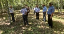 Presidentes de la Zona Sur se reunieron en la Medialuna de Villarrica