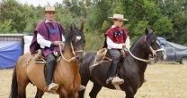 La Medialuna de Lanco recibe la fiesta corralera de los Criadores
