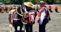 Asociación Los Ríos brindó merecido homenaje al potro San José de Loa Refajo Asociación Los Ríos brindó merecido homenaje al potro San José de Loa Refajo