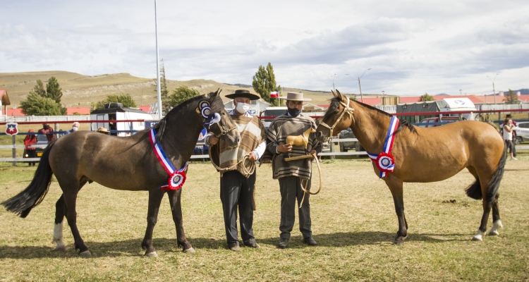 Expo Ultima Esperanza nuevamente será parte de la Fiesta a la Chilena en Torres del Paine