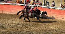 Buscan completar: Las colleras de todo Chile luchan por sumar puntos en 24 rodeos Buscan completar: Las colleras de todo Chile luchan por sumar puntos en 24 rodeos