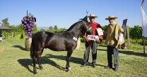 Los ganadores de las Categorías de la Expo Nacional 2023 Los ganadores de las Categorías de la Expo Nacional 2023