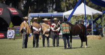 Así se vivió la Expo Nacional 2023 en la Viña Laura Hartwig Así se vivió la Expo Nacional 2023 en la Viña Laura Hartwig
