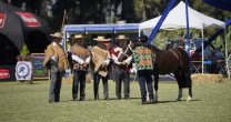René Aichele, Julio Mohr y Guillermo Sánchez comentaron virtudes de Intruso y Adelita René Aichele, Julio Mohr y Guillermo Sánchez comentaron virtudes de Intruso y Adelita