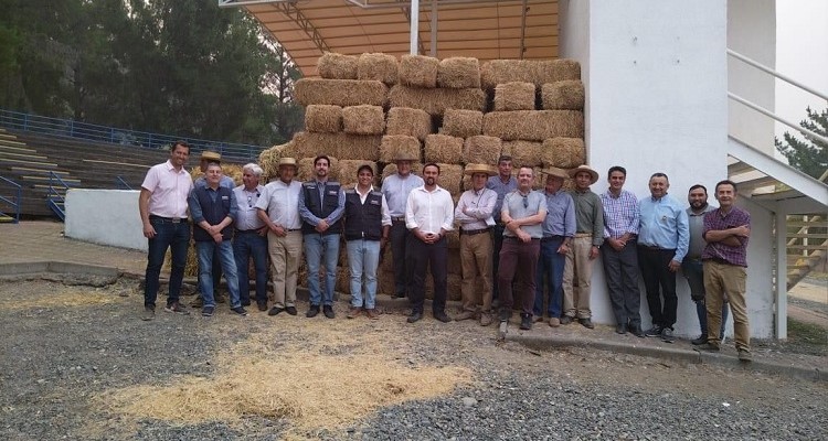 Asociación Ñuble y Club de Huasos "Arturo Prat" entregaron importante ayuda en Ninhue