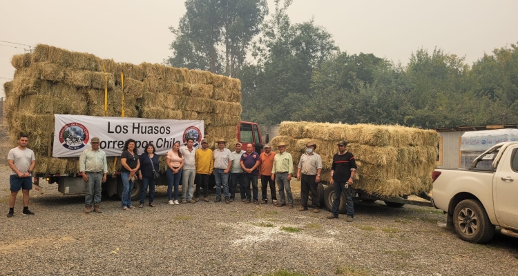 Campaña "Los Huasos Corren por Chile" llegó a Contulmo, Arauco y Nacimiento con ayuda