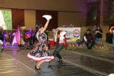 La cueca se tomó el Criadero Claro de Luna con el Campeonato de la Asociación Colchagua