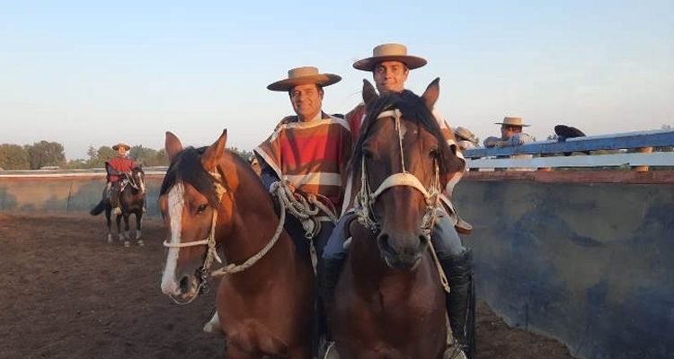 Criadero Muticura logró triunfo y clasificación en el rodeo del Club Don Francisco de Quillón