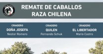 Criaderos Doña Josefa, Quilén y El Libertador salen a remate este jueves Criaderos Doña Josefa, Quilén y El Libertador salen a remate este jueves