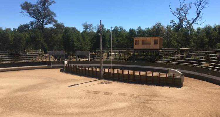 Clasificatorio Sur tomó resguardos para evitar incendios y sumó preselección de rienda al programa