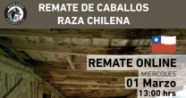Criaderos Las Cañitas y La Purísima tienen un atractivo remate este miércoles Criaderos Las Cañitas y La Purísima tienen un atractivo remate este miércoles