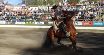 Donoso, Soto y Cabrales avanzaron a la Final del Movimiento a la Rienda de Villarrica Donoso, Soto y Cabrales avanzaron a la Final del Movimiento a la Rienda de Villarrica