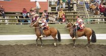 Lago Llanquihue fue la asociación con más colleras premiadas en Villarrica Lago Llanquihue fue la asociación con más colleras premiadas en Villarrica
