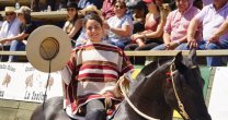 Vera, Gómez, Easton y Soto festejaron en la Rienda del Clasificatorio Sur de Villarrica Vera, Gómez, Easton y Soto festejaron en la Rienda del Clasificatorio Sur de Villarrica