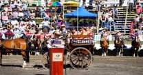 La Zona Sur del Rodeo Chileno tuvo una ceremonia de premiación en el Clasificatorio de Villarrica