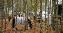 Lado B: Una mirada profunda al Clasificatorio Sur de Villarrica
