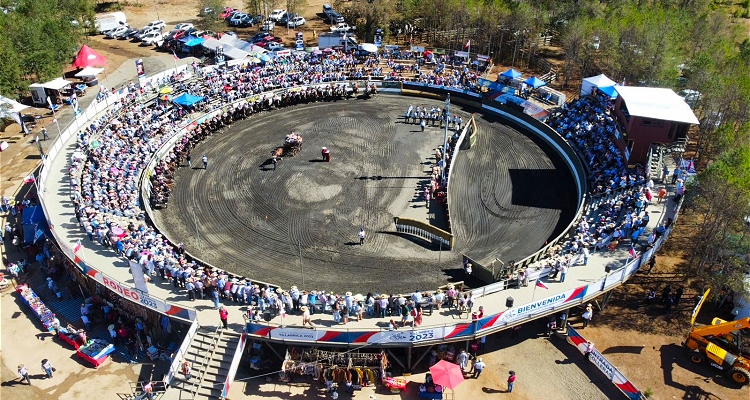 Organizadores en Villarrica: 