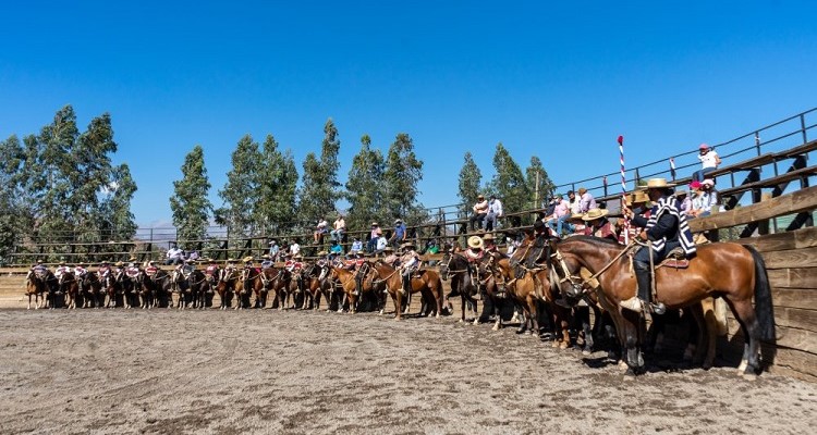 Criadores de Los Andes preparan gran evento con exposición y rodeo en Semana Santa