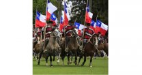 Escuadra Ecuestre Palmas de Peñaflor lleva su gran espectáculo a Linares Escuadra Ecuestre Palmas de Peñaflor lleva su gran espectáculo a Linares
