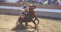 Silva, Cortés y Segura clasificaron para la Final del Movimiento a la Rienda en El Convento