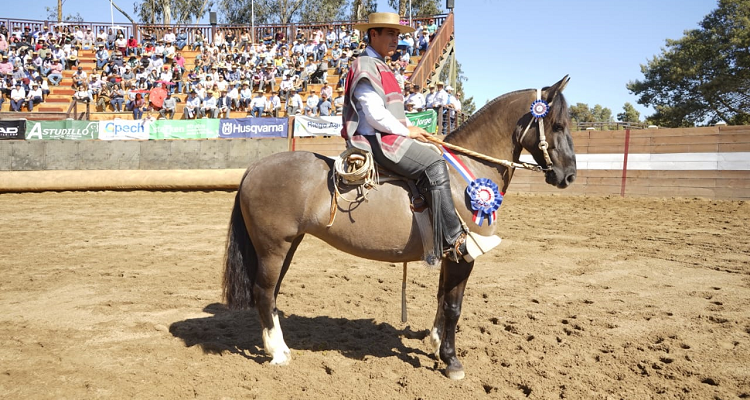 Agua de los Campos y Maquena Bonitona ganó el Sello de Raza en el Clasificatorio Norte