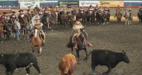 La Aparta de Ganado del Clasificatorio Repechaje Centro-Sur