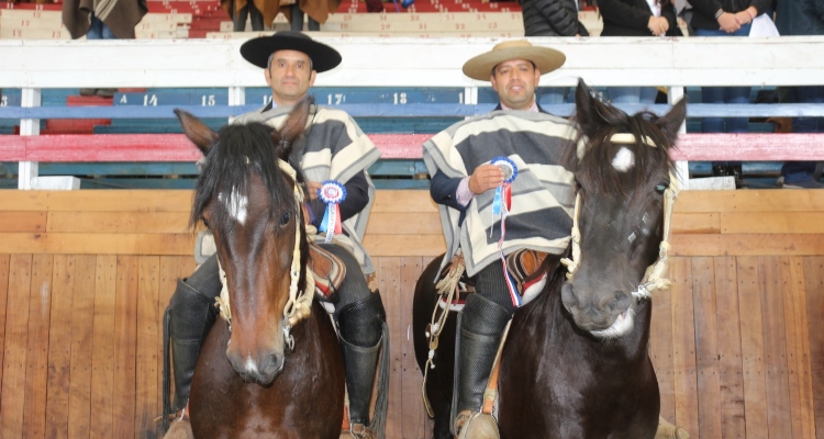 Criadero Don Feli se hizo fuerte en Osorno y clasificó a Rancagua con carrera perfecta incluida