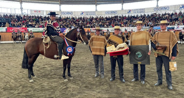 Taitao II Estelita se adjudicó el Sello de Raza en Osorno