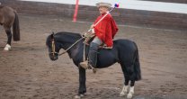 Cultura huasa: Marco Antonio Barbosa homenajeó al antiguo hombre de campo en Melipilla Cultura huasa: Marco Antonio Barbosa homenajeó al antiguo hombre de campo en Melipilla