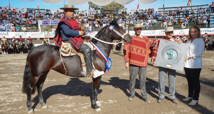 José Armijo fue homenajeado en Melipilla: