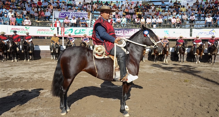 Los Conejos Trasnochada se alzó con el Sello de Raza en el Repechaje de Melipilla