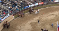 Palmas de Peñaflor ganó con categoría la Serie Caballos en el Champion de Chile