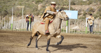 Arturo Ríos tras Aparta de Ganado en Tunuyán: Arturo Ríos tras Aparta de Ganado en Tunuyán: