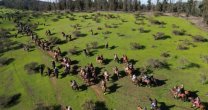 En Raza Chilena conversamos sobre la Cabalgata de los Criadores de Casablanca En Raza Chilena conversamos sobre la Cabalgata de los Criadores de Casablanca