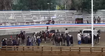 Carimallín ganó el rodeo del Club Hospital de la mano de Espinoza y Silva Carimallín ganó el rodeo del Club Hospital de la mano de Espinoza y Silva