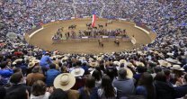 ¡Superamos las 10 mil firmas! El mundo del Rodeo agradece masiva adhesión y sigamos sumando apoyos ¡Superamos las 10 mil firmas! El mundo del Rodeo agradece masiva adhesión y sigamos sumando apoyos