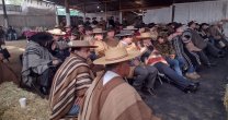 Gran convocatoria generó actividad con Francisco Rojas en Paine Gran convocatoria generó actividad con Francisco Rojas en Paine