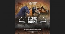 Canal del Caballo está organizando una enorme fiesta en la 1ª Feria Internacional Equina Canal del Caballo está organizando una enorme fiesta en la 1ª Feria Internacional Equina