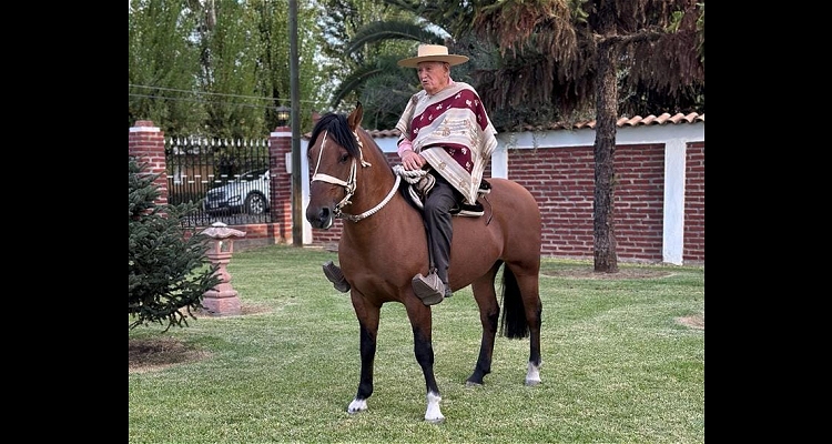 Condolencias para la familia de Filadelfio Lucaveche Contreras