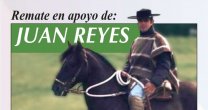 ¡A colaborar! Hay remate de montas a beneficio de Juan Reyes Vásquez ¡A colaborar! Hay remate de montas a beneficio de Juan Reyes Vásquez