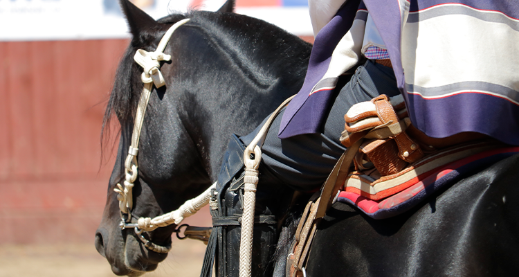 Maipo Norte estrena sus rodeos de manera oficial con un evento en grande en Fiestas Patrias